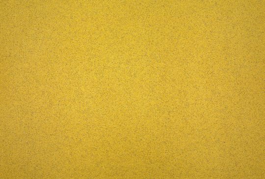 DesignTime Contract Mimosa